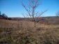 Lands for sale near Lovech