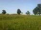 Lands for sale near Lovech