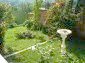 The garden