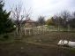 The garden