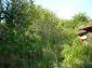 The garden