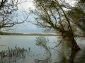 The Danube River