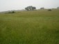 Lands for sale near Veliko Tarnovo