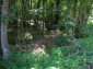 Forest for sale near Elena