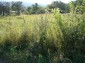 Lands for sale near Lovech