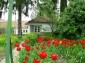 Houses for sale near Veliko Tarnovo