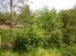 11259:26 - Rural house with a large garden near Montana