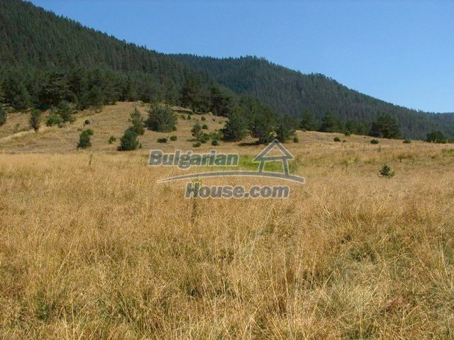 10756:2 - Huge land plot with mountain view, Smolyan Region