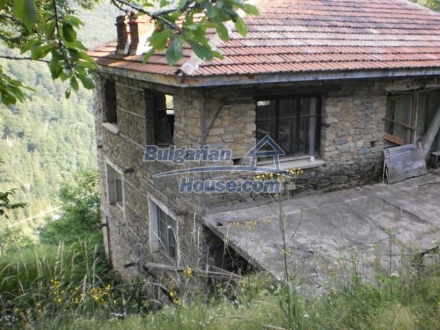 11182:1 - Charming house in an adorable green countryside near Smolyan