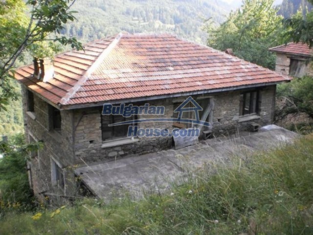 11182:6 - Charming house in an adorable green countryside near Smolyan