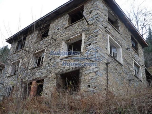 11182:7 - Charming house in an adorable green countryside near Smolyan