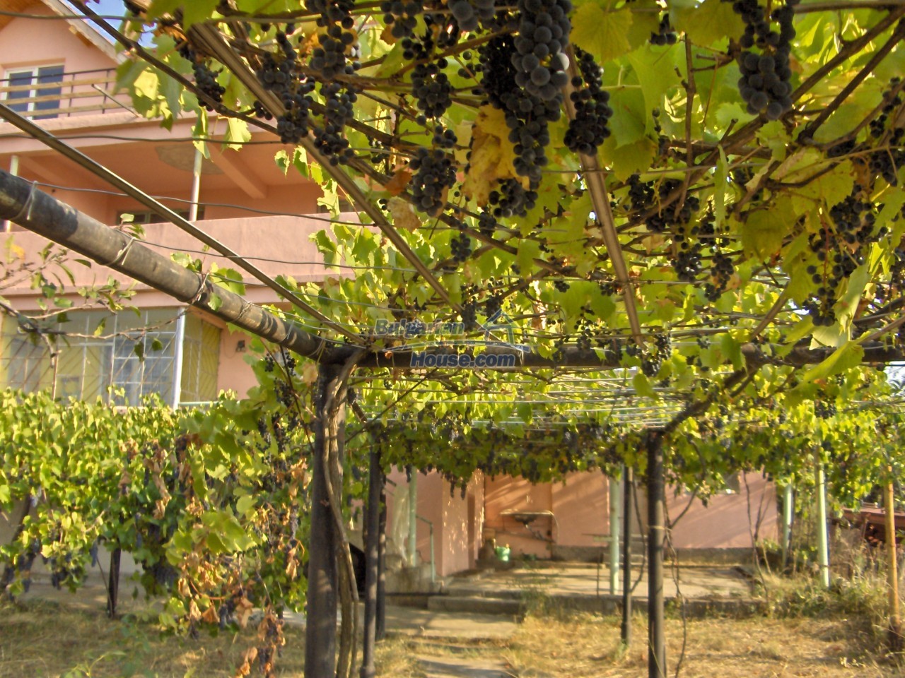 11499:31 - Large and beautiful rural house near Targovishte BARGAIN PRICE