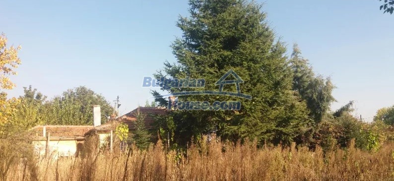 12938:3 - Bulgarian property with big farm buildings, garden near Plovdiv 
