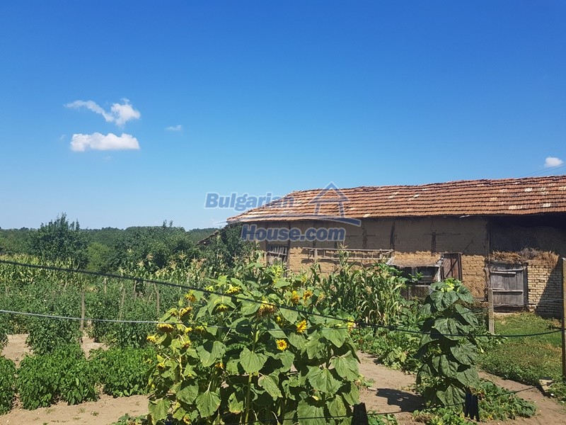 13054:67 - Traditional Bulgarian house 9km away from Yastrebino lake Popovo