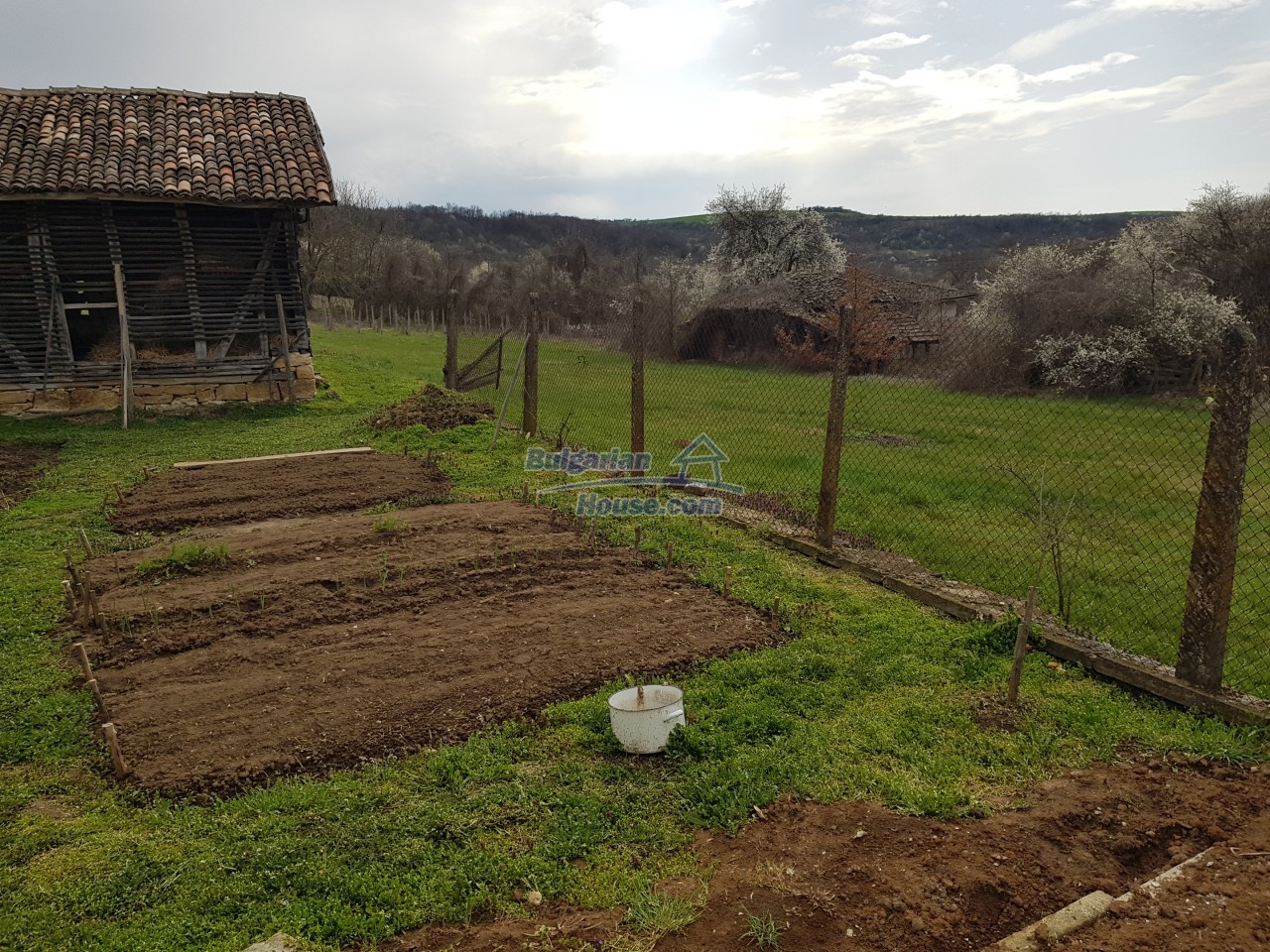 13253:79 - Bulgarian House with big garden 4950sq.m. farm buildings Popovo