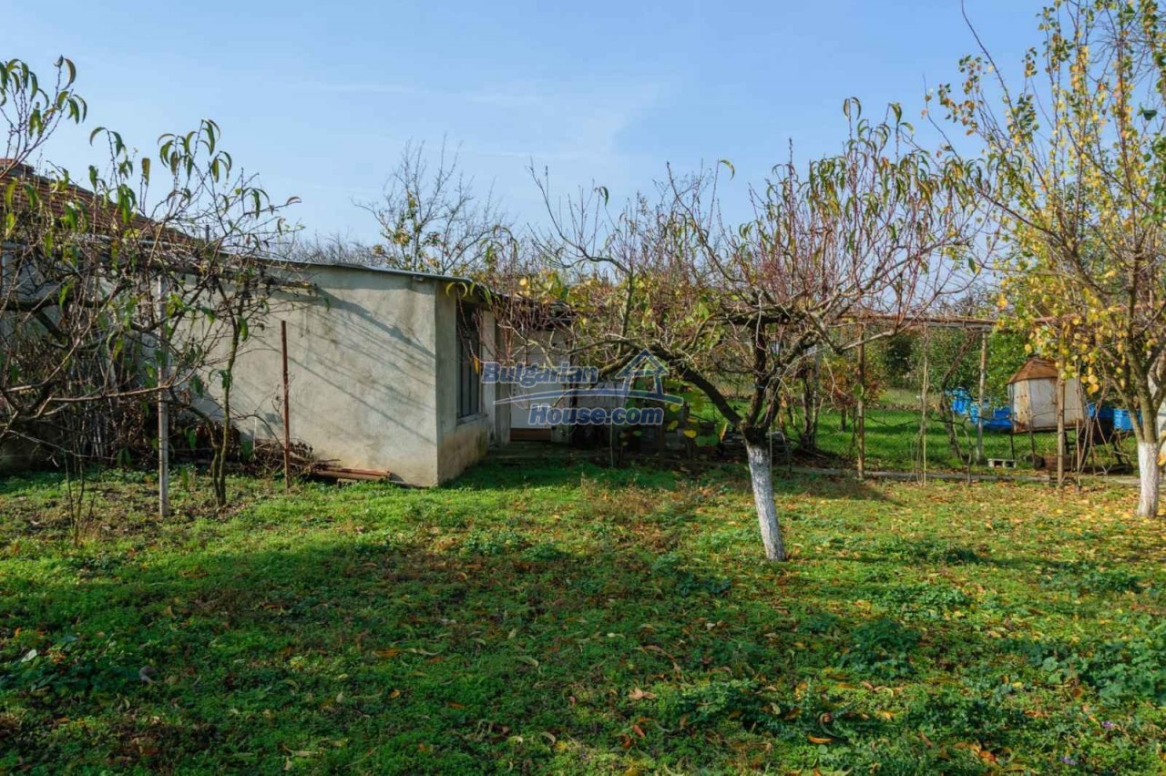 13481:4 - Renovated house with many fruit trees near Shkorpilovtsi