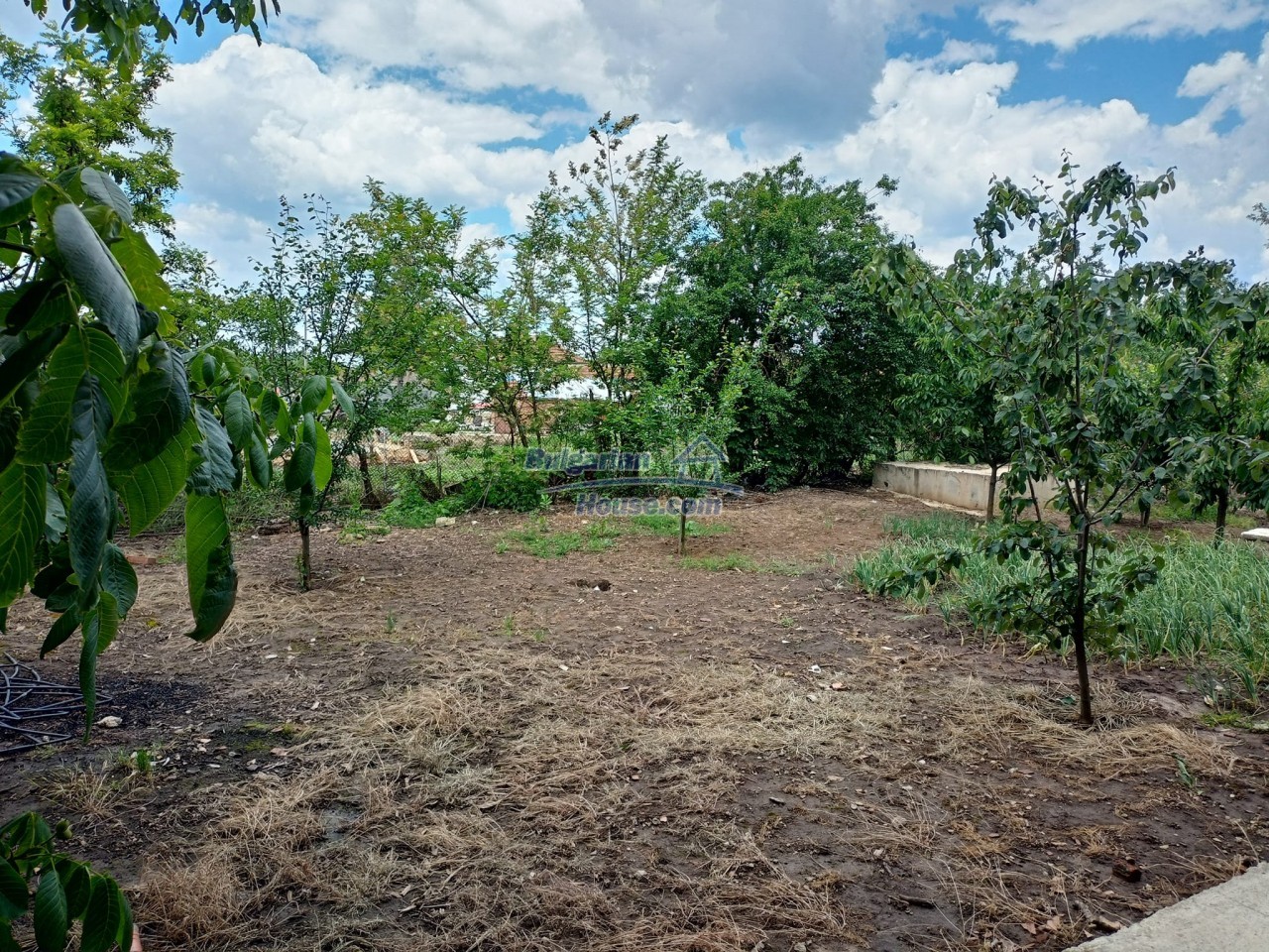 13516:3 - New house for sale with 48 fruit trees and garage