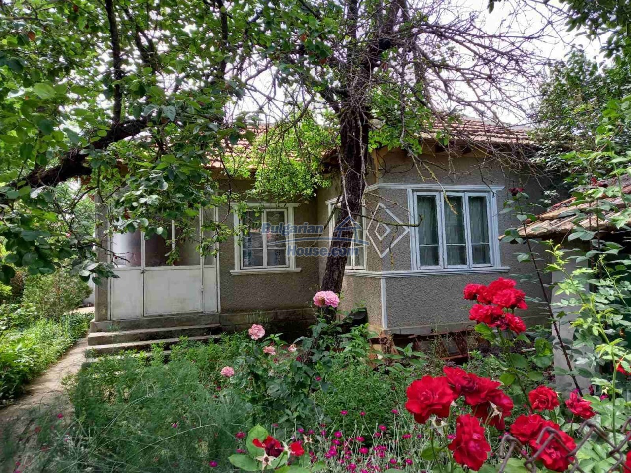 Houses / Villas for sale near Dobrich - 13596