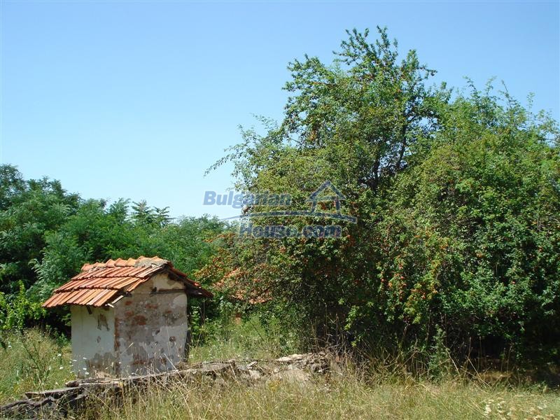 13618:32 - Two houses and 8465 sq.m land in a village 26km from Elhovo town