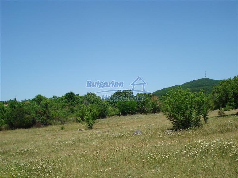 13618:31 - Two houses and 8465 sq.m land in a village 26km from Elhovo town