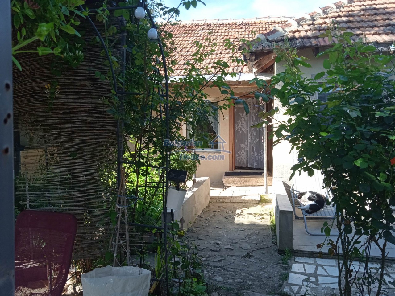 14109:2 - Renovated property for sale in the village of Chernook Provadia