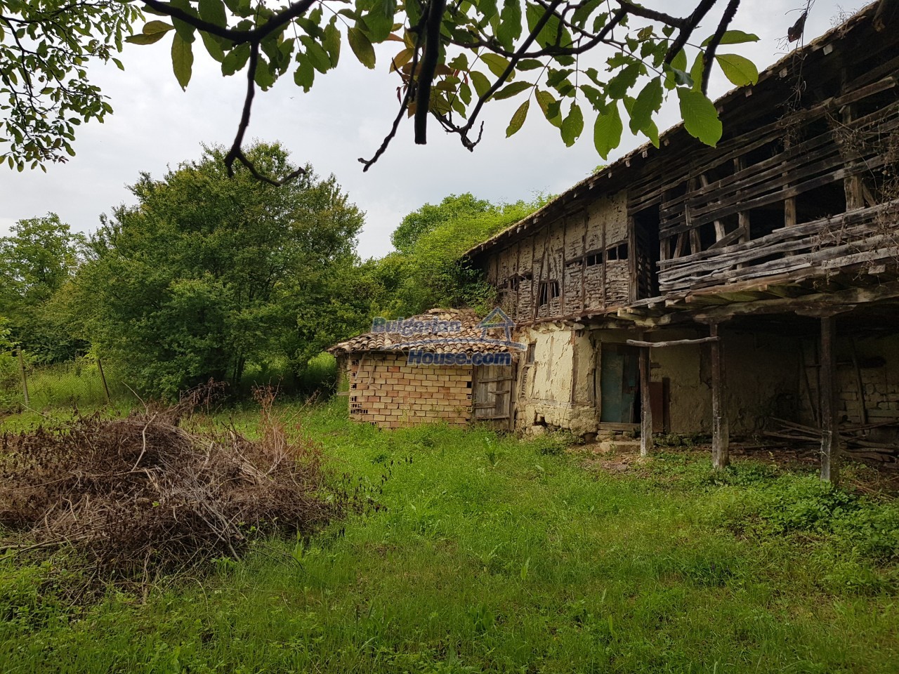 14540:31 - Bulgarian house with a big barn in Konak village nice views