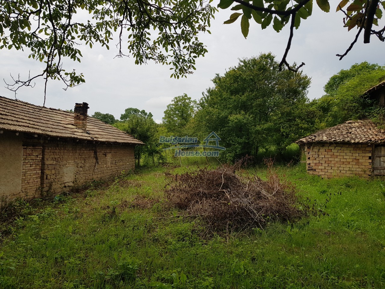 14540:32 - Bulgarian house with a big barn in Konak village nice views