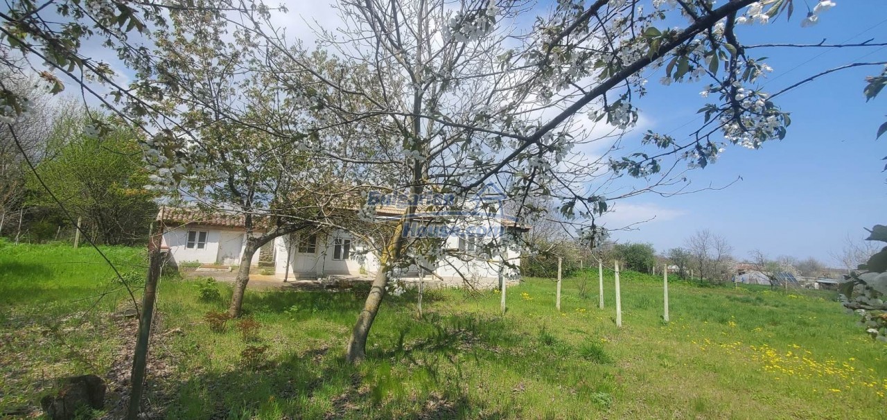 14567:14 -   Small  cozy holiday home 8 km from the village of Krapets
