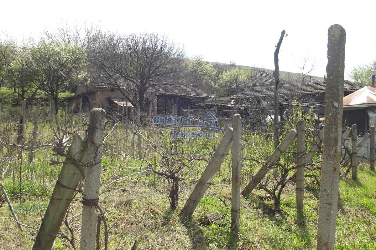 14591:62 - House with big plot and distant views of the Danube river