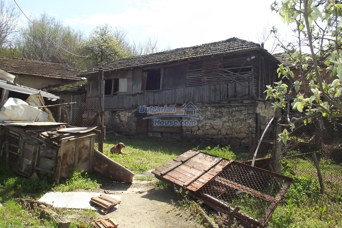 14591:61 - House with big plot and distant views of the Danube river