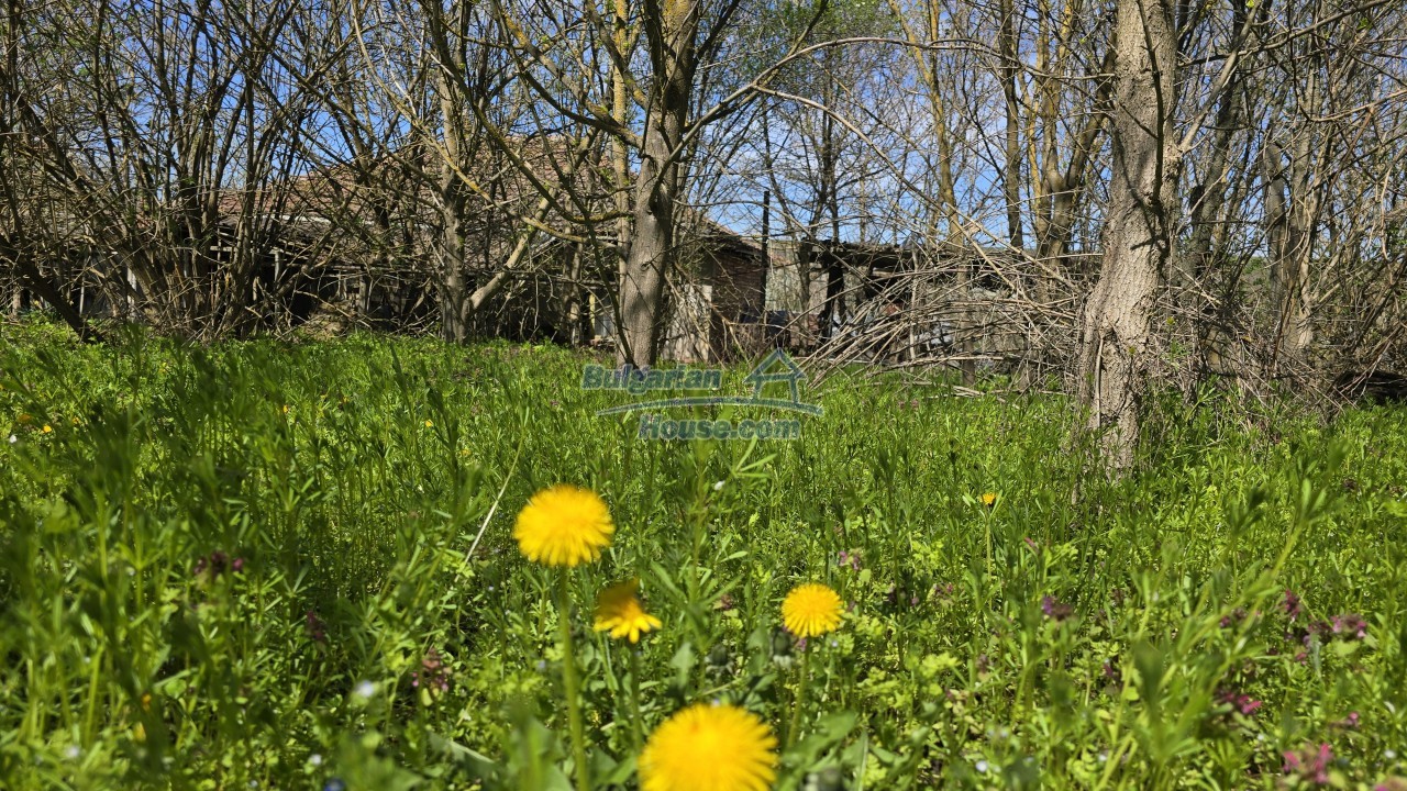 Houses for sale near Pleven - 15915