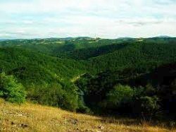 Eco routes attract tourists in Strandzha Mountain