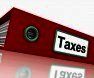 Annual company accounts and tax returns for Bulgarian Ltd - 1095