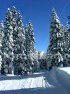 Chepelare opened winter season with 20 km ski runs - 724