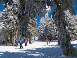 Bulgarian ski resorts- Pamorovo is offering free skiing