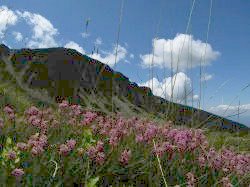 Rila mountain- unforgettable holiday in Bulgaria