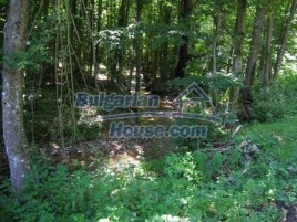 Forest for sale near Veliko Tarnovo - 8991