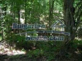 Forest for sale near Veliko Tarnovo - 8994