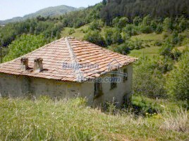 Houses for sale near Ardino - 11335