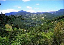 Investment Land for sale near Smolyan - 11527