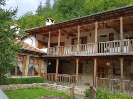 Houses / Villas for sale near Gourkovo - 12859