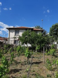 Houses / Villas for sale near Topolovgrad - 13043