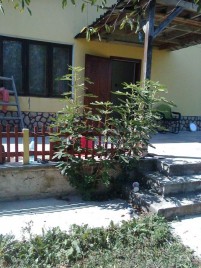 Houses / Villas for sale near Varna - 13322