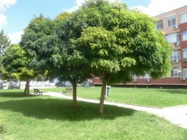 1-bedroom apartments for sale near Burgas - 13337