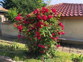 Houses for sale near Valchi Dol - 13688