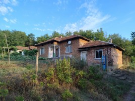 Houses for sale near Pleven - 15746