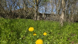 Houses for sale near Pleven - 15915