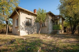 Houses for sale near Vidin - 15948