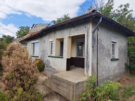 Houses for sale near Pleven - 15987