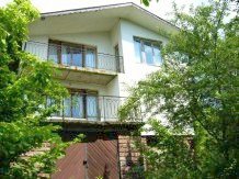 Houses for sale near Sofia